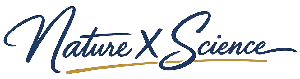 About chatgpt image jan 8, 2026, 07 23 45 pm